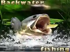 Jwèt Pêche nan dlo trankil sou entènèt
