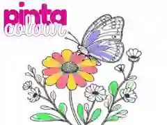 Jwèt Pinta Koulè sou entènèt Jwèt Pinta Koulè sou entènèt