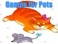 Jwèt Jwèt pou Bèt Kase sou entènèt Jwèt Jwèt pou Bèt Kase sou entènèt