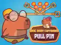 Jwèt Sove ti bebe capybara yo Pull Pin sou entènèt