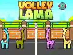Jwèt Volley Lama sou entènèt Jwèt Volley Lama sou entènèt