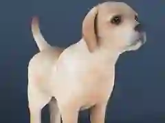 Jwèt Bèt kay ki pa fè anyen sou entènèt
