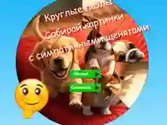 Jwèt Puzle won: kolekte foto ak ti chen bèl sou entènèt Jwèt Puzle won: kolekte foto ak ti chen bèl sou entènèt
