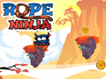 Jwèt Ninja Kord sou entènèt