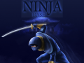 Jwèt Ninja Dash sou entènèt