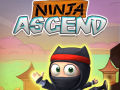 Jwèt Ninja Monte sou entènèt
