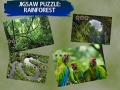 Jwèt Puzzle Pyebwa Lapli sou entènèt