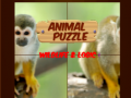 Jwèt Puzòl Animal: Lavi Sovaj ak Lojik sou entènèt