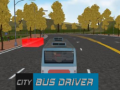 Jwèt Chofè otobis vil la sou entènèt