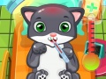 Jwèt Doktè Chat sou entènèt