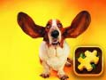 Jwèt Puzzle Chien Drol sou entènèt