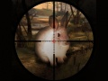 Jwèt Chas klasikal pou lapen sniper 2019 sou entènèt