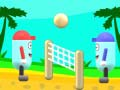 Jwèt Voleybol sou plaj la sou entènèt