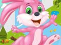 Jwèt Kouri Lapin sou entènèt