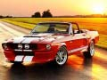 Jwèt Diferans nan Mustang Fancy sou entènèt