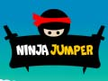 Jwèt Ninja Sote sou entènèt