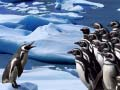 Jwèt Glise Pinguin sou entènèt