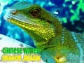 Jwèt Puzle Dragon Dlo Chinwa sou entènèt