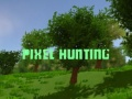 Jwèt Chas Pixel sou entènèt