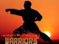 Jwèt Karate Guerrye Solèy Kouche sou entènèt