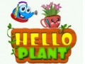 Jwèt Bonjou Plant sou entènèt