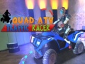 Jwèt Kousinen ATV Kwadran nan Trafik sou entènèt