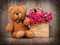 Jwèt Paz pèzib ak teddybears ki bèl sou entènèt