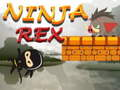 Jwèt Ninja Rex sou entènèt