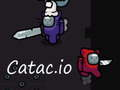 Jwèt Catac.io sou entènèt
