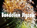 Jwèt Puzle Dandelion sou entènèt