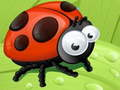 Jwèt Glise Ladybug sou entènèt