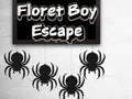 Jwèt Eskapade Ti Gason Flwa sou entènèt