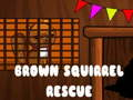 Jwèt Reskò Blat Squirrel sou entènèt