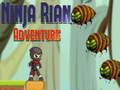 Jwèt Avantur Ninja Rian sou entènèt
