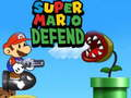 Jwèt Super Mario Defans sou entènèt