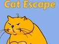 Jwèt Katz sote sou entènèt