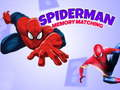 Jwèt Jwèt Memwa Spiderman sou entènèt