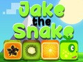 Jwèt Jake Serpent sou entènèt