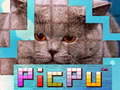 Jwèt PicPu Chat sou entènèt