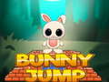 Jwèt Sote Lapin sou entènèt