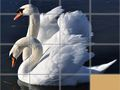 Jwèt Puzèl Glise Animals sou entènèt