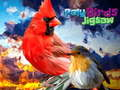 Jwèt Puzzle Zwazo Poly sou entènèt