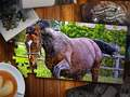 Jwèt Puzle Cheval Édisyon sou entènèt