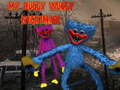 Jwèt Kawòs Huggy Wuggy Mwen sou entènèt