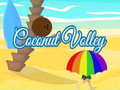 Jwèt Voley Kokoye sou entènèt