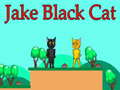 Jwèt Jake Chat Nwa sou entènèt