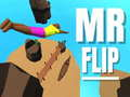 Jwèt Mesye Flip sou entènèt