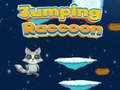 Jwèt Raccoon Sote sou entènèt
