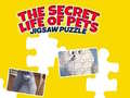 Jwèt Lavi Sekrè Nan Bèt Kay: Puzzel sou entènèt