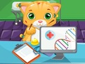 Jwèt Doktè Chat sou entènèt